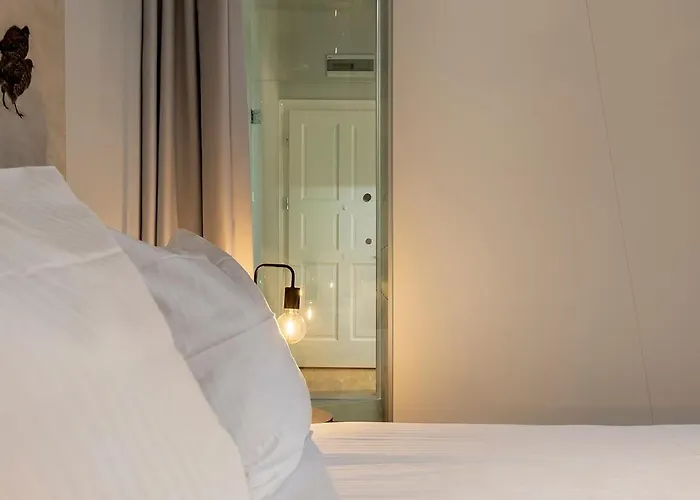 Daire Chelmonskiego 8-02 By Farkas *